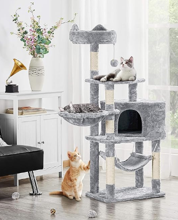 Spiele_Katzen_1