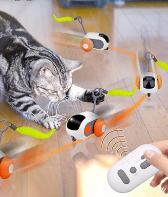 Spiele_Katzen_5